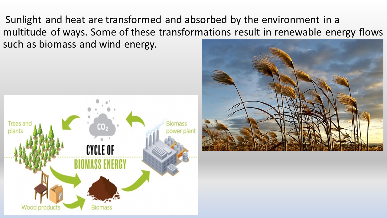 Think Green  - renewable-energy